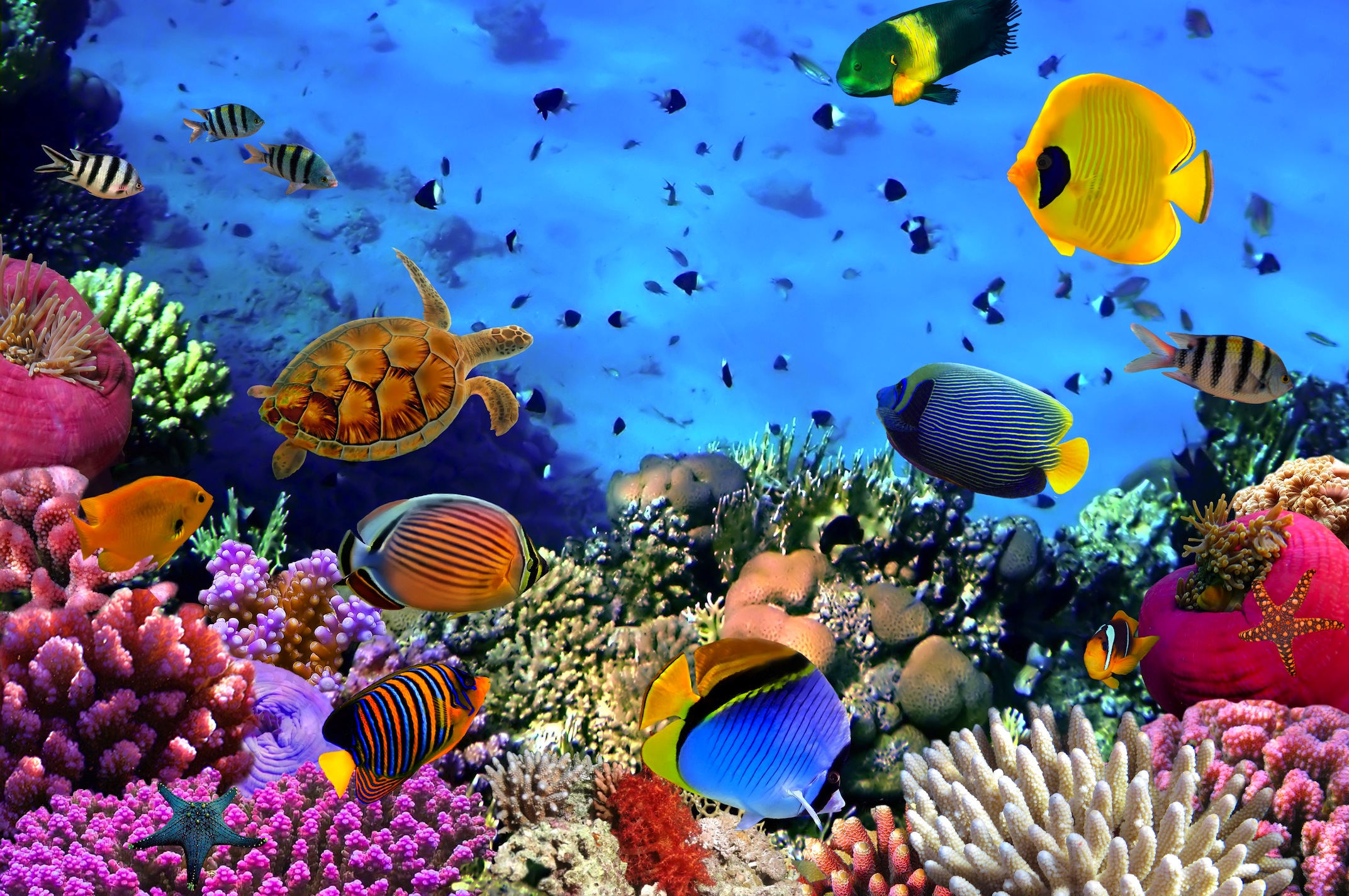 Aquarium 3D Fotobehang