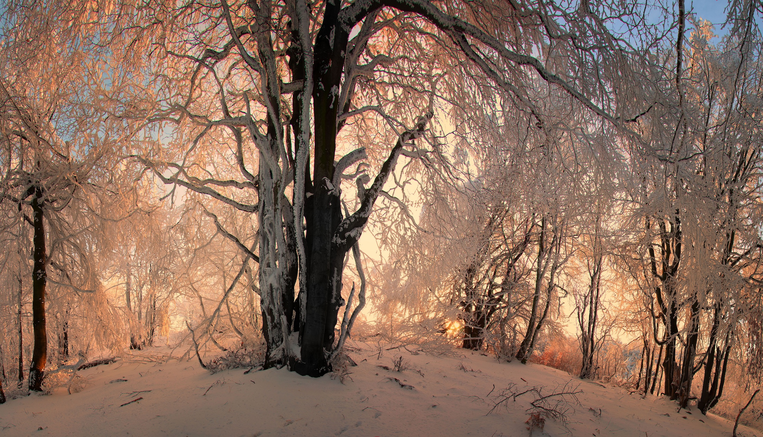 Winter Heuvel Behang - Gelijmde